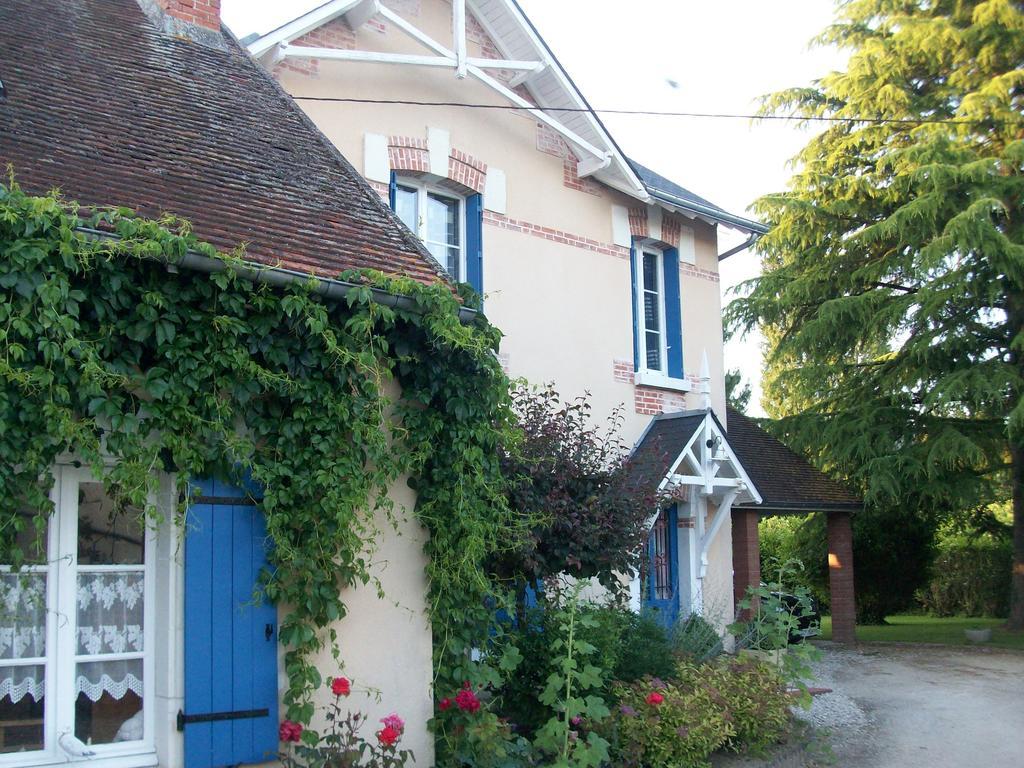 Loire, Chateaux, Et Vignes Onzain Exterior foto